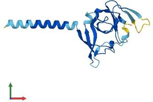 Protein Structure (PS) image for IMP1 Inner Mitochondrial Membrane Peptidase-Like (IMMP1L) (AA 1-166) protein (His tag) (ABIN7560579)