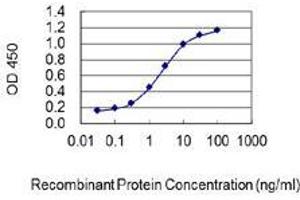 Detection limit for recombinant GST tagged CYP7A1 is 0. (CYP7A1 antibody  (AA 179-277))
