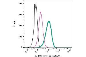 Cell surface detection of CXCR4 in mouse  microglia cell line: + Rabbit IgG Isotype Control-ATTO Fluor-488.