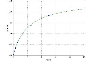 BCL2 Binding Component 3 (BBC3) ELISA Kit