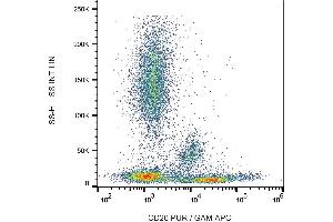 Surface staining of human peripheral blood cells with anti-human CD26 (BA5b) purified, GAM-APC. (DPP4 antibody  (APC))