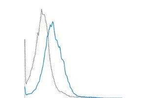 C57Bl/6 splenocytes were stimulated with LPS for 3 days. (CD80 antibody  (PE-Cy7))