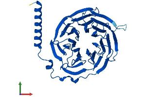 AlphaFold protein structure predicition of Human Recombinant GNB3 Protein, UniprotID P16520 (GNB3 Protein (AA 1-340) (His tag))
