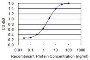 Detection limit for recombinant GST tagged AFP is 0. (alpha Fetoprotein antibody  (AA 500-609))