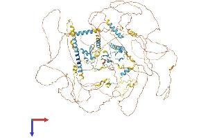 AlphaFold protein structure predicition of Human Recombinant ZC3H6 Protein, UniprotID P61129 (ZC3H6 Protein (AA 1-1189) (His tag))