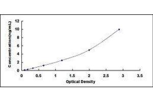 Typical standard curve (Leptin ELISA Kit)