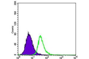 Flow cytometric analysis of HepG2 cells using APOE monoclonal antibody, clone 1H4  (green) and negative control (purple).