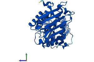 AlphaFold protein structure predicition of Mouse Recombinant Dhdh Protein, UniprotID Q9DBB8 (DHDH Protein (AA 1-333) (His tag))