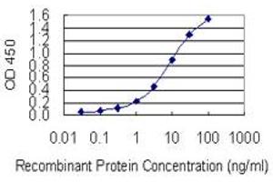 Detection limit for recombinant GST tagged HELLS is 0. (HELLS antibody  (AA 1-348))