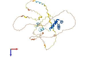 EN1 Protein (AA 1-392) (His tag)