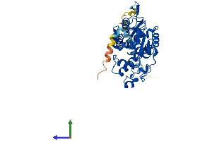 Protein Structure (PS) image for tyrosylprotein Sulfotransferase 2 (TPST2) (AA 1-377) protein (His tag) (ABIN7544710)