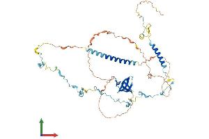 AlphaFold protein structure predicition of Human Recombinant HCLS1 Protein, UniprotID P14317