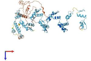 Protein Structure (PS) image for Zinc Finger Protein 630 (ZNF630) (AA 1-657) protein (His tag) (ABIN7545343)