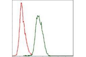 Flow cytometric analysis of Hela cells using COTL1 mouse mAb (green) and negative control (red). (COTL1 antibody)