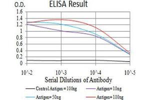 ELISA image for anti-5'-3' Exoribonuclease 2 (XRN2) (AA 398-547) antibody (ABIN5542261)