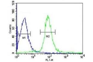 VHL antibody flow cytometric analysis of HepG2 cells (green) compared to a negative control (blue). (VHL antibody  (AA 181-210))