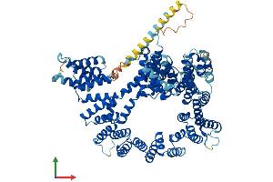 AlphaFold protein structure predicition of Mouse Recombinant Naa16 Protein, UniprotID Q9DBB4 (NARG1L Protein (AA 1-864) (His tag))
