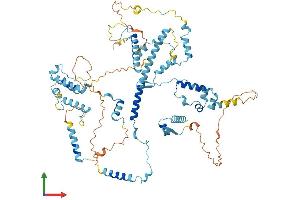 AlphaFold protein structure predicition of Mouse Recombinant Kri1 Protein, UniprotID Q8VDQ9 (KRI1 Protein (AA 1-704) (His tag))