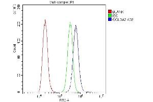 Flow Cytometry analysis of A431 cells using anti- GM130 antibody (ABIN6719432). (Golgin A2 (GOLGA2) (AA 796-913) antibody)