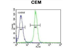 ARL8 Antibody (C-term) flow cytometric analysis of CEM cells (right histogram) compared to a negative control cell (left histogram). (ARL5B antibody  (C-Term))