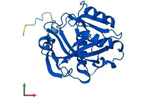 AlphaFold protein structure predicition of Human Recombinant IDI2 Protein, UniprotID Q9BXS1