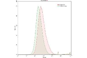 Detection of C3 Convertase in HepG2 human hepatocellular carcinoma cell line using Polyclonal Antibody to Complement C3 Convertase (C3 Convertase) (Complement C3 Convertase antibody)