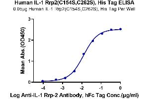 Immobilized Human IL-1 Rrp2(C154S,C262S), His Tag at 0. (IL1RL2 Protein (Cys154Ser-Mutant, Cys262Ser-Mutant) (His tag))