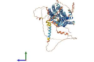 AlphaFold protein structure predicition of Mouse Recombinant Mfsd6 Protein, UniprotID Q8CBH5