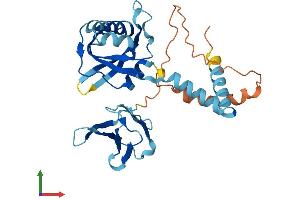 Protein Structure (PS) image for PIH1 Domain Containing 2 (PIH1D2) (AA 1-315) protein (His tag) (ABIN7559342)