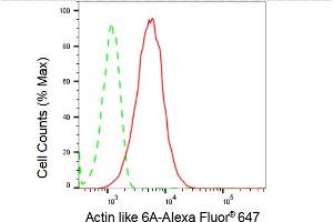 Flow cytometric analysis of Actin like 6A expression in HepG2 cells using Actin like 6A antibody (ABIN7797455), 1:2,000).