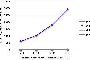 FLISA plate was coated with purified human IgG1, IgG2, IgG3, and IgG4. (Mouse anti-Human IgG2 (Fd Region) Antibody (Biotin))