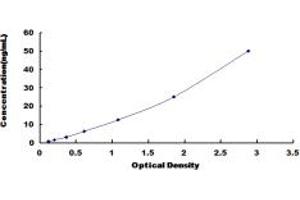 Typical standard curve (ART1 ELISA Kit)