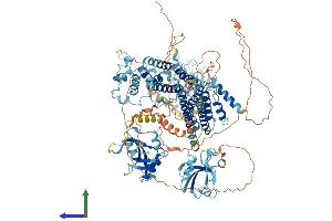 AlphaFold protein structure predicition of Mouse Recombinant Radil Protein, UniprotID Q69Z89 (Radil Protein (AA 1-1099) (His tag))