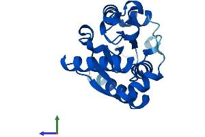 Protein Structure (PS) image for Integrin beta 1 Binding Protein 3 (ITGB1BP3) (AA 1-195) protein (His tag) (ABIN7561078)