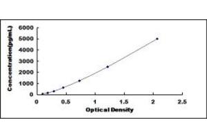 Typical standard curve (FLII ELISA Kit)