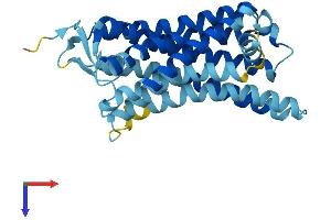 AlphaFold protein structure predicition of Human Recombinant OR52E1 Protein, UniprotID Q8NGJ3 (OR52E1 Protein (AA 1-308) (His tag))
