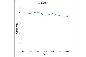 Antigen: 0. (CD97 antibody  (AA 741-835))