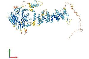 AlphaFold protein structure predicition of Mouse Recombinant Hps6 Protein, UniprotID Q8BLY7 (HPS6 Protein (AA 1-805) (His tag))