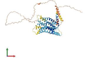 Protein Structure (PS) image for G Protein-Coupled Receptor 142 (GPR142) (AA 1-462) protein (His tag) (ABIN7548152)
