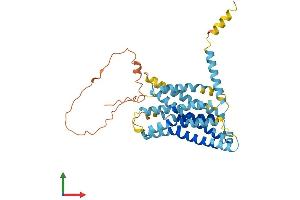 Protein Structure (PS) image for G Protein-Coupled Receptor 142 (GPR142) (AA 1-365) protein (His tag) (ABIN7558277)