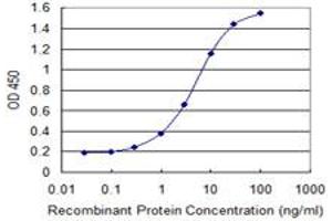 Detection limit for recombinant GST tagged SCEL is 0. (SCEL antibody  (AA 2-97))