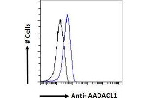 ABIN238671 Flow cytometric analysis of paraformaldehyde fixed A431 cells (blue line), permeabilized with 0. (NCEH1 antibody  (C-Term))