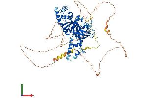 Protein Structure (PS) image for Homolog of Yeast RecQ-mediated Genome Instability 1 (RMI1) (AA 1-616) protein (His tag) (ABIN7560989)