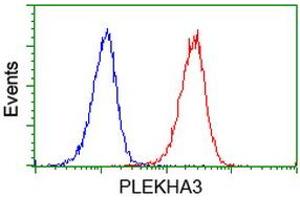 Flow cytometric Analysis of Jurkat cells, using anti-PLEKHA3 antibody (ABIN2454556), (Red), compared to a nonspecific negative control antibody, (Blue). (PLEKHA3 antibody)
