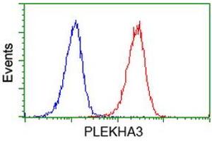 Flow cytometric Analysis of Jurkat cells, using anti-PLEKHA3 antibody (ABIN2454556), (Red), compared to a nonspecific negative control antibody, (Blue).