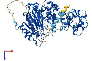 AlphaFold protein structure predicition of Mouse Recombinant Galnt2 Protein, UniprotID Q6PB93 (GALNT2 Protein (AA 1-570) (His tag))