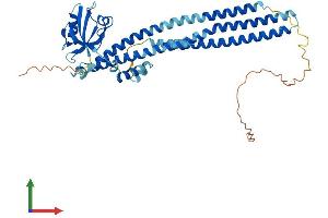 AlphaFold protein structure predicition of Mouse Recombinant Pick1 Protein, UniprotID Q62083 (PICK1 Protein (AA 1-416) (His tag))
