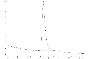 The purity of Human BCMA Trimer is greater than 95 % as determined by SEC-HPLC. (BCMA Protein (Trimer) (His-Avi Tag))