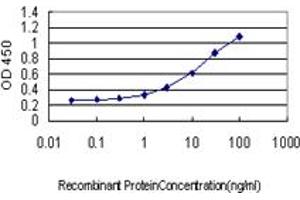 Detection limit for recombinant GST tagged HBB is approximately 0. (Hemoglobin Subunit beta antibody  (AA 38-147))