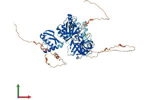AlphaFold protein structure predicition of Human Recombinant GTPBP1 Protein, UniprotID O00178